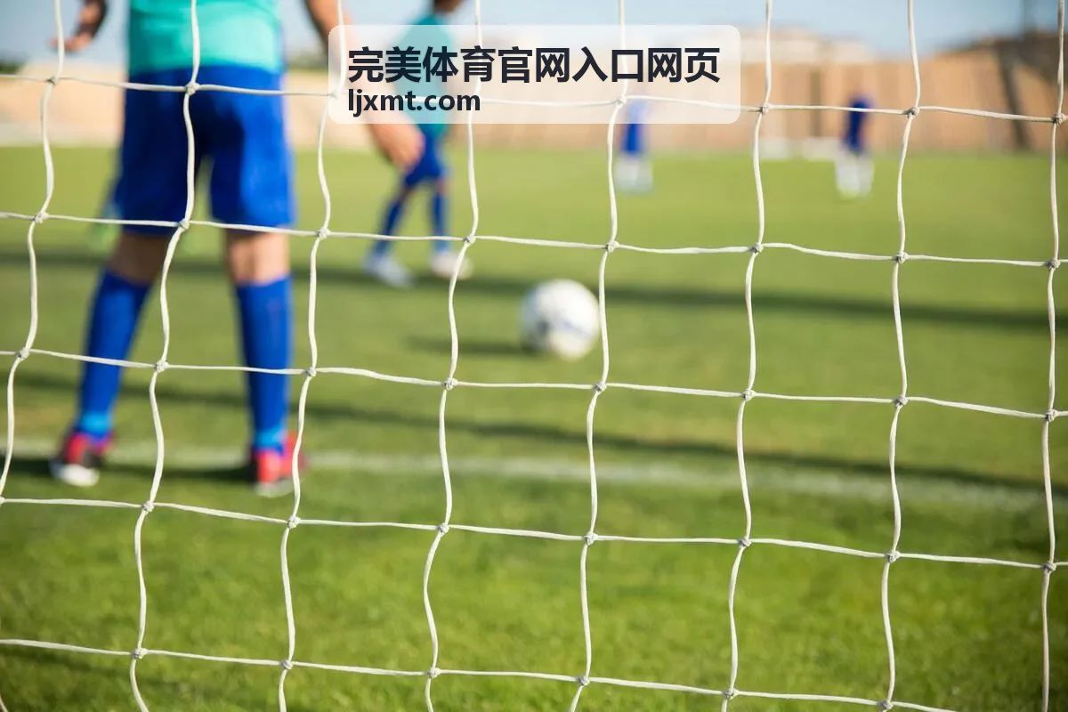 完美体育官网入口网页 新兴项目分类封面图