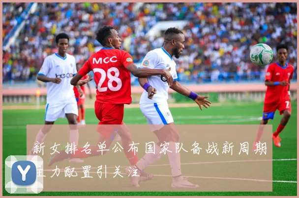 新女排名单公布国家队备战新周期主力配置引关注
