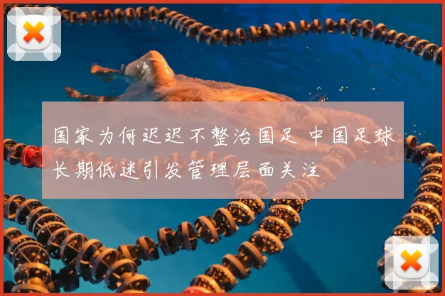 国家为何迟迟不整治国足 中国足球长期低迷引发管理层面关注