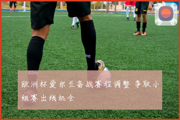 欧洲杯爱尔兰备战赛程调整 争取小组赛出线机会