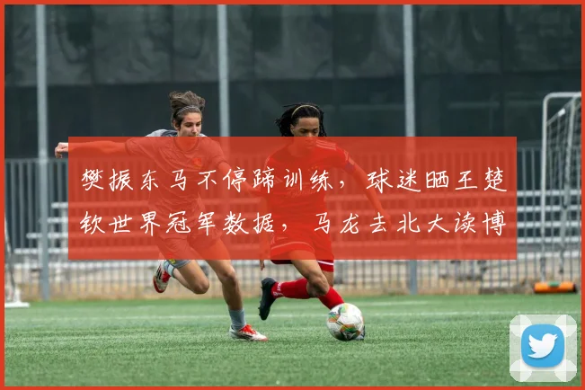 樊振东马不停蹄训练，球迷晒王楚钦世界冠军数据，马龙去北大读博_1