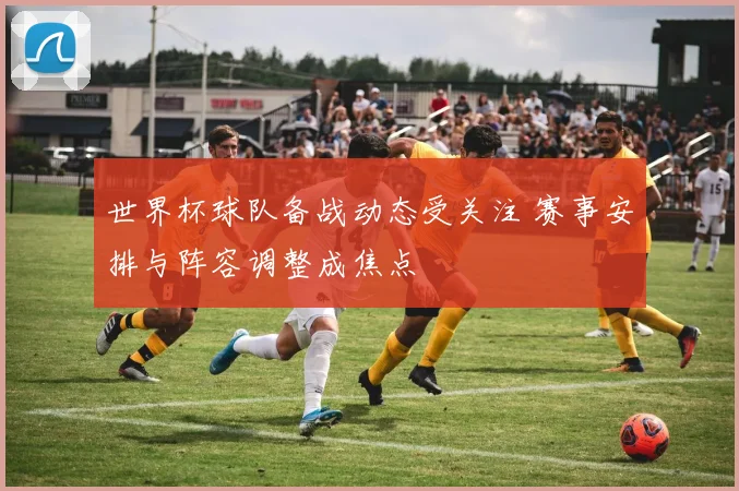 世界杯球队备战动态受关注 赛事安排与阵容调整成焦点