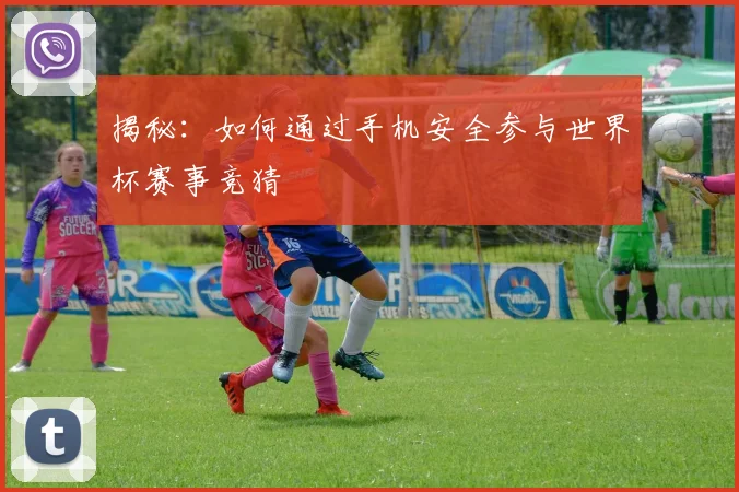揭秘：如何通过手机安全参与世界杯赛事竞猜